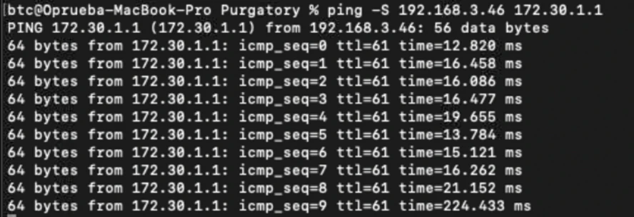 Ping 測試 OpenVPN 伺服器 Gateway 連線結果