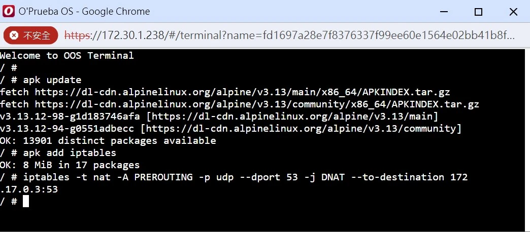 Alpine 容器控制台執行 iptables 指令