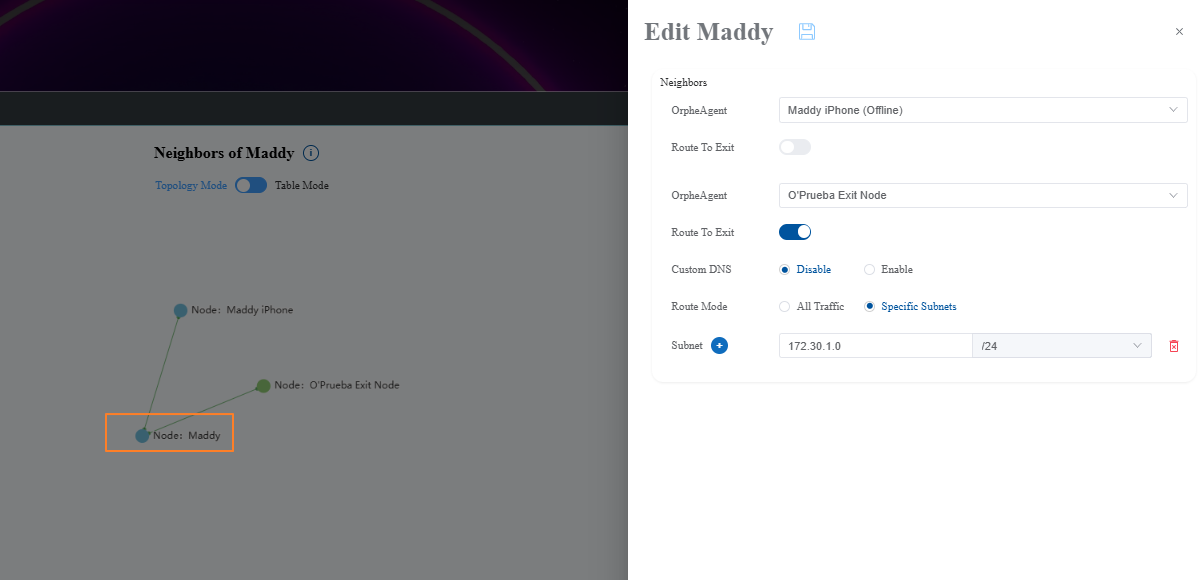 鄰居的 Route to Exit、Route Mode 與 Custom DNS 設定