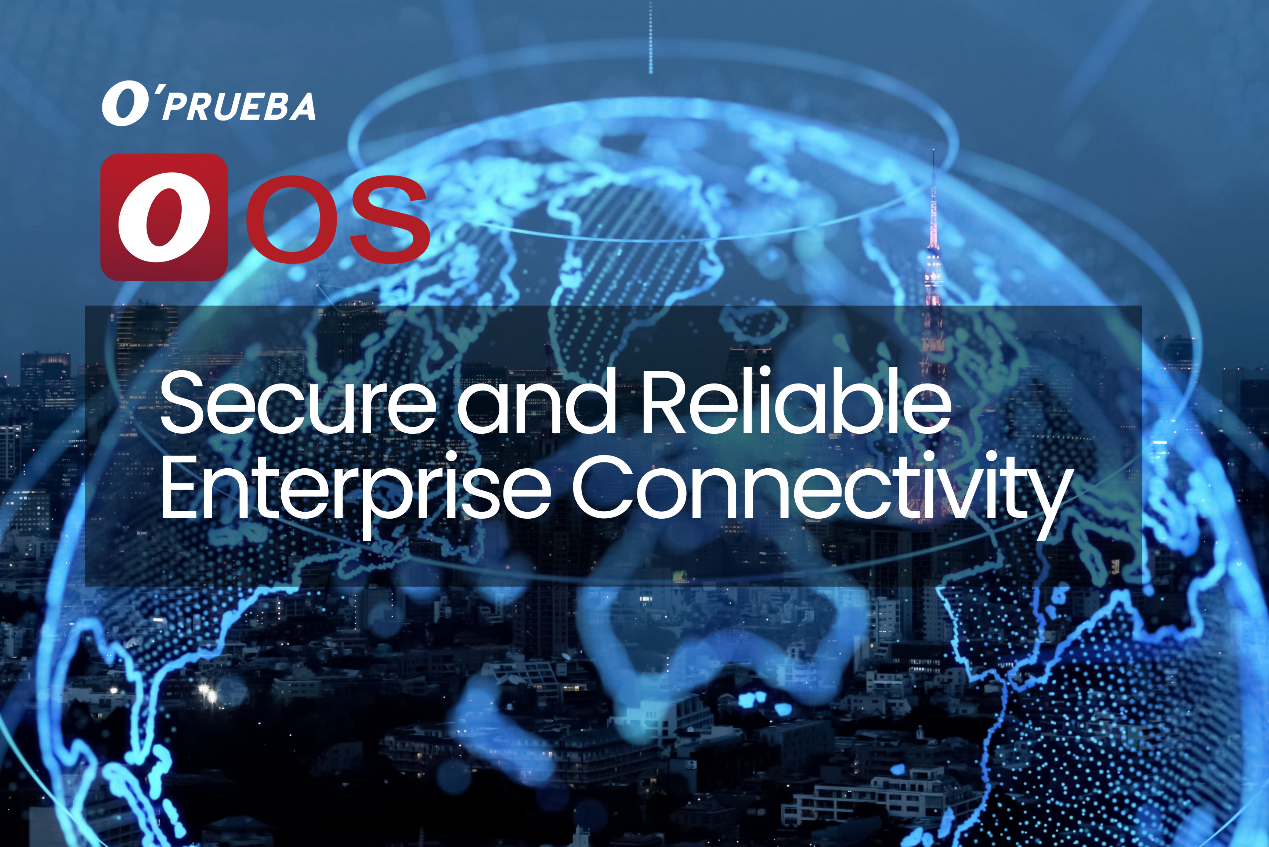 Secure and Reliable Enterprise Connectivity